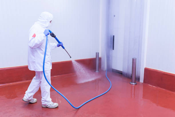 Best Paint Preparation  in Val Verde Park, TX